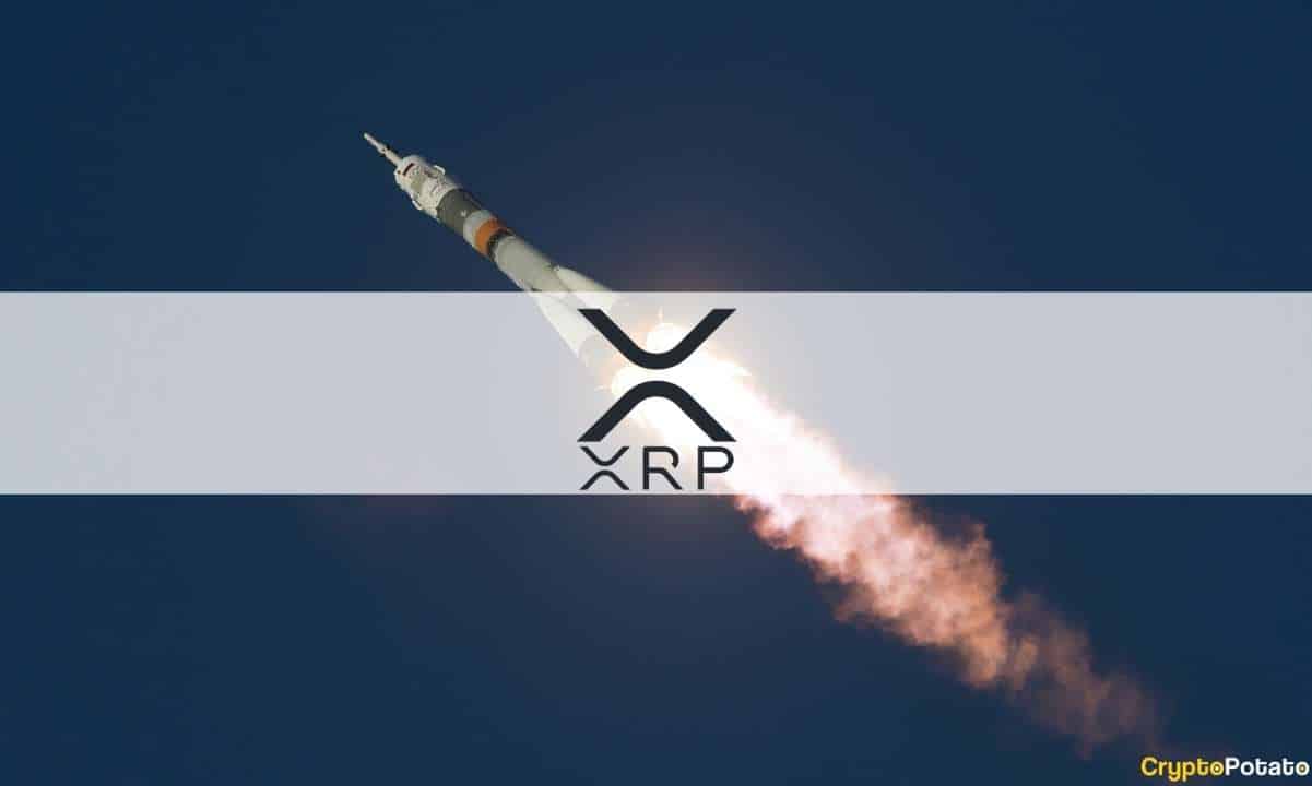 XRP'nin Fiyat Artışı Bilgili Yatırımcıların Büyük Birikimiyle Bağlantılı: Veriler
