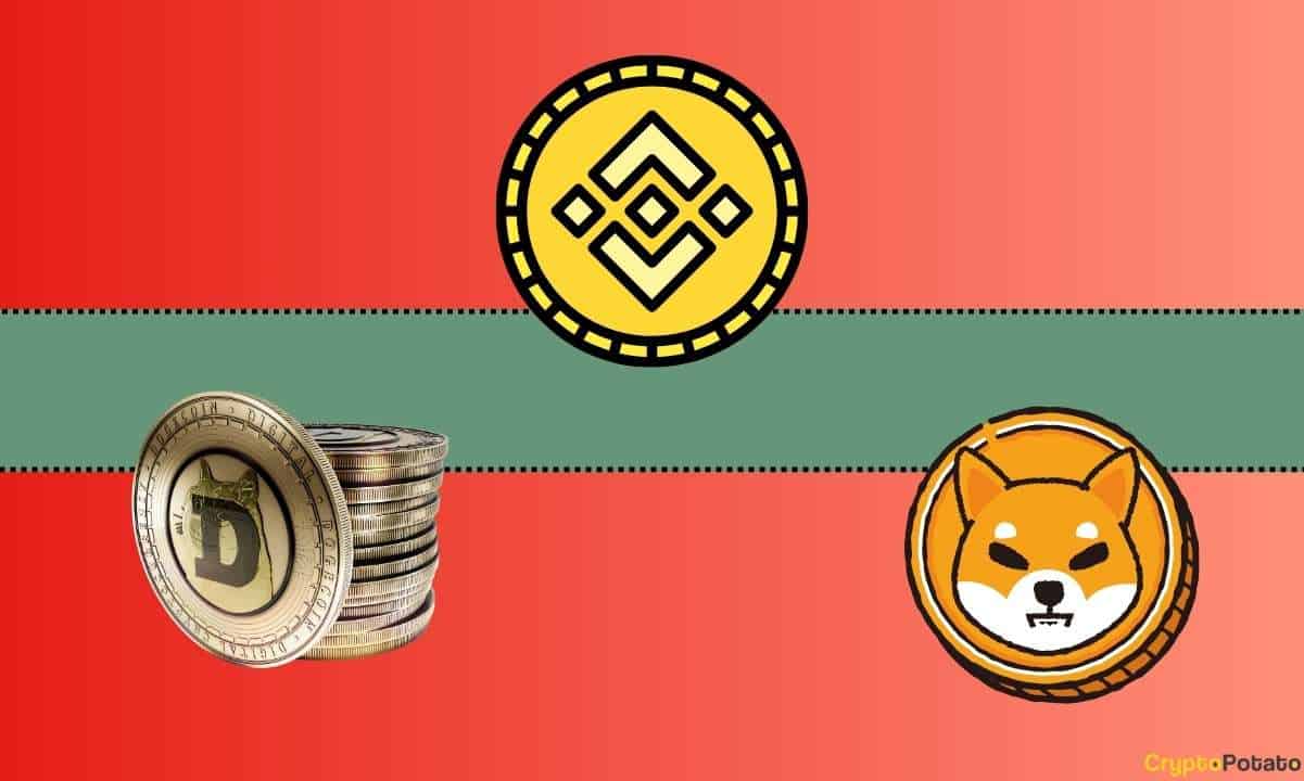 Shiba Inu (SHIB) ve Dogecoin (DOGE) İle İlgili Önemli Binance Güncellemesi