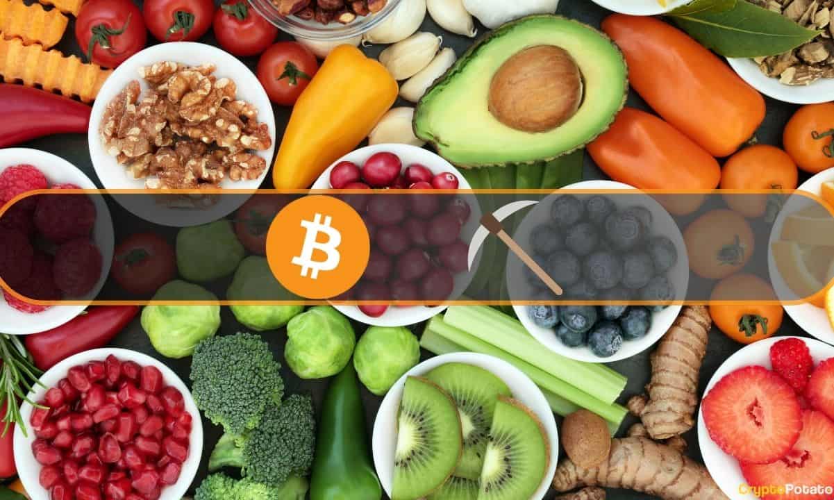 Bu İsviçre Şirketi, Gıda Üretiminden Bitcoin Madenciliği İçin Fazla Enerjiyi Kullanmak İstiyor