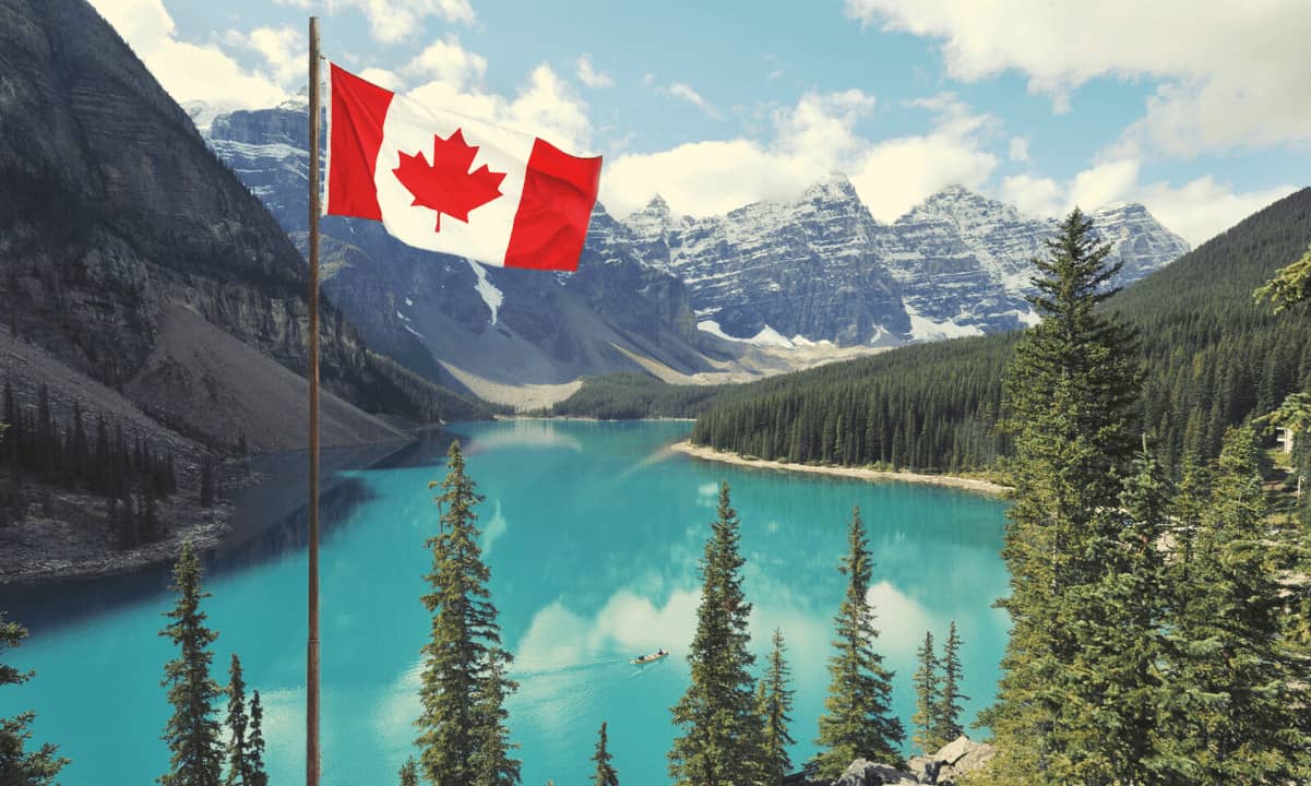 Calgary Sakinleri Ayı Piyasasında Kripto Dolandırıcılıklarından 22 Milyon Dolardan Fazla Kaybetti
