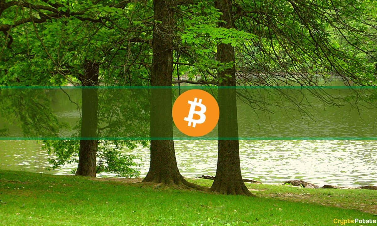 Bitcoin Fiyatı 31 Bin Dolara Çıkıyor Ancak Bu 5 Altcoin Uçuyor