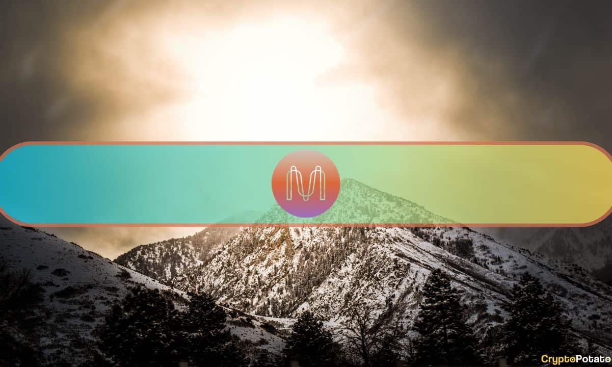 MINA Token Bir Günde %120 Arttı, İşte Olası Nedeni