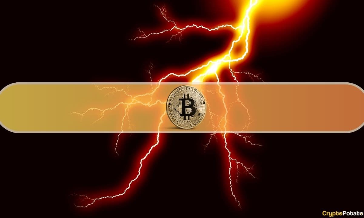 Bakkt, UMA'yı Lightning Network'e Getirmek İçin David Marcus'un Lightspark'ıyla İşbirliği Yapıyor
