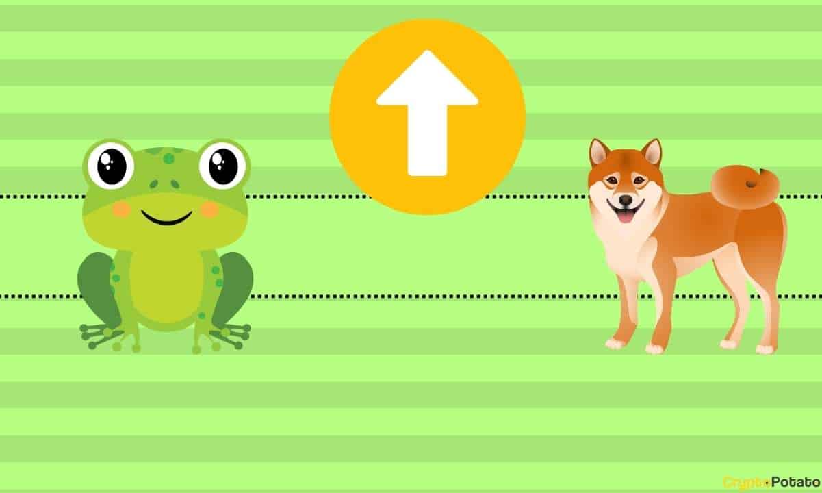 Bu Meme Coin'lerin Değeri Yükseliyor: SHIB ve PEPE Fiyatlarının Neden Patladığını Öğrenin