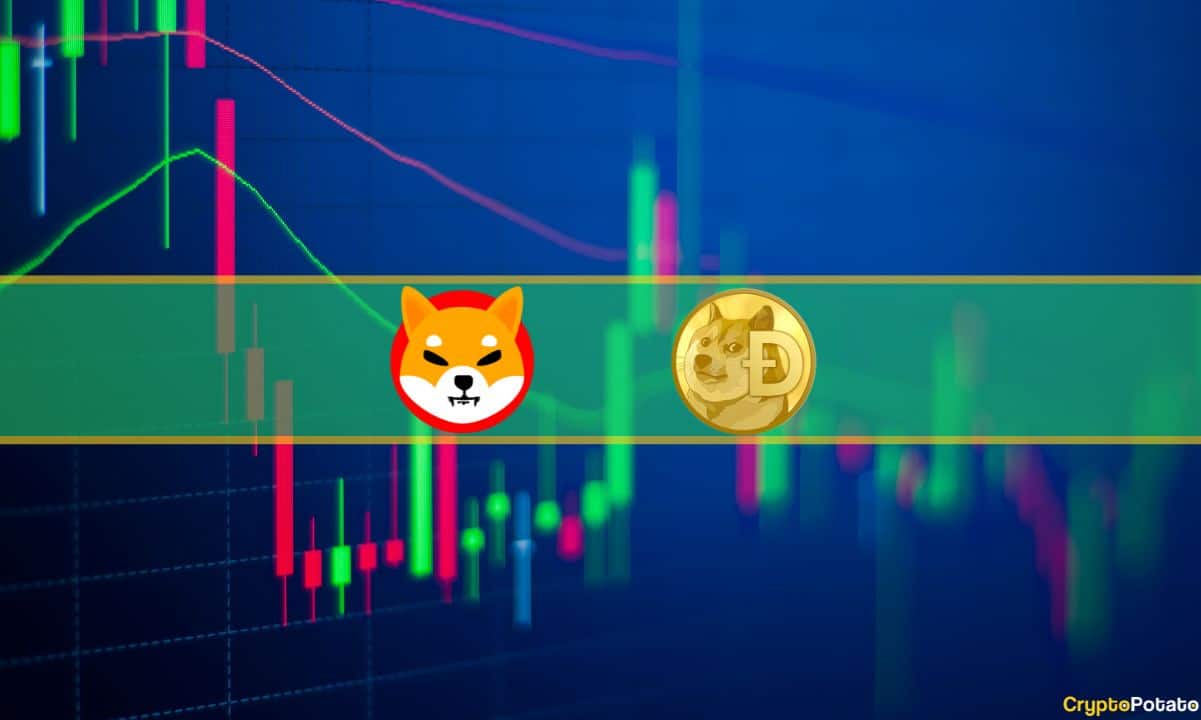 SHIB, DOGE Çift Haneli Patladı, BTC Gözünde 35 Bin Dolar (Piyasa Gözlemi)