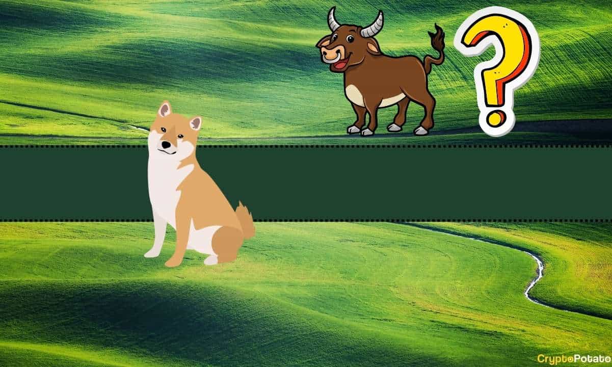 Hangi Altcoin Alınmaya Değer? Shiba Inu (SHIB) Bu Bitcoin Savunucusu Tarafından Önerilen