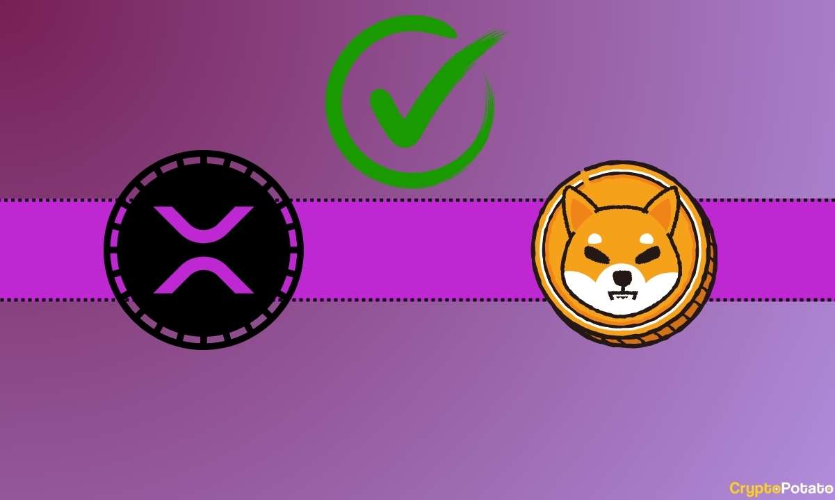 Ripple (XRP) ve SHIB'e İlişkin Bir Önemli Ortaklık Daha