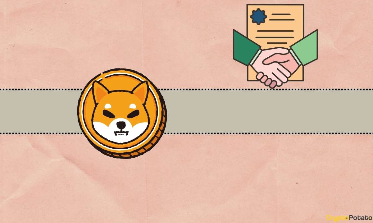 Megastar Paris Hilton'un Desteklediği Bu Platform Shiba Inu (SHIB) ile İşbirliği Yapıyor