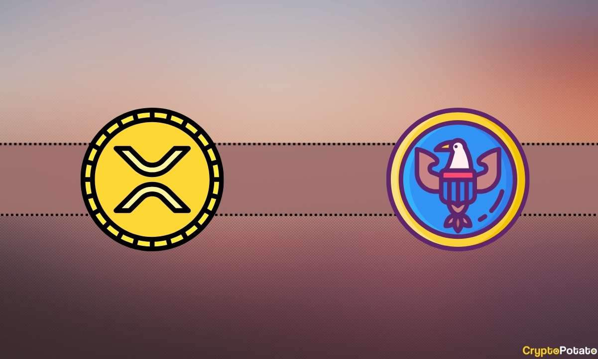 Ripple (XRP) v. SEC Davasında Çok Meraklı Açıklama