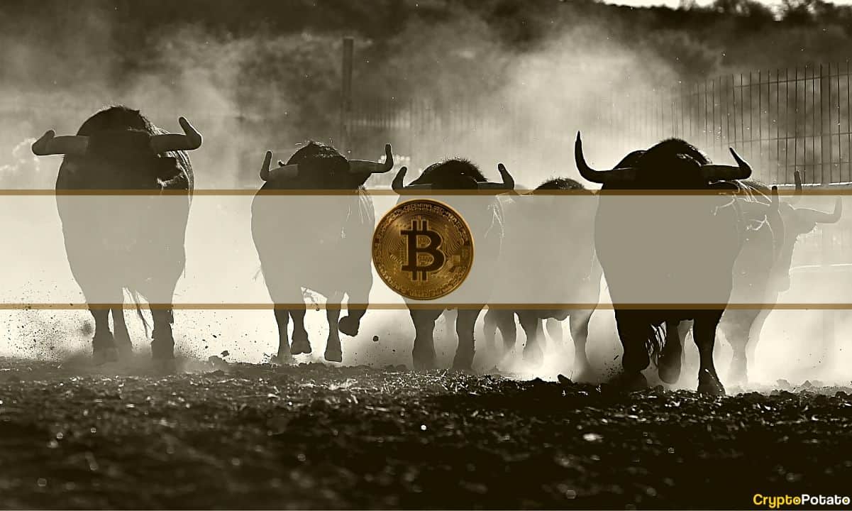 Süper Boğa Bitcoin (BTC) Fiyat Tahmini: 2024 BTC Yarılanmasına Kadar Hedef