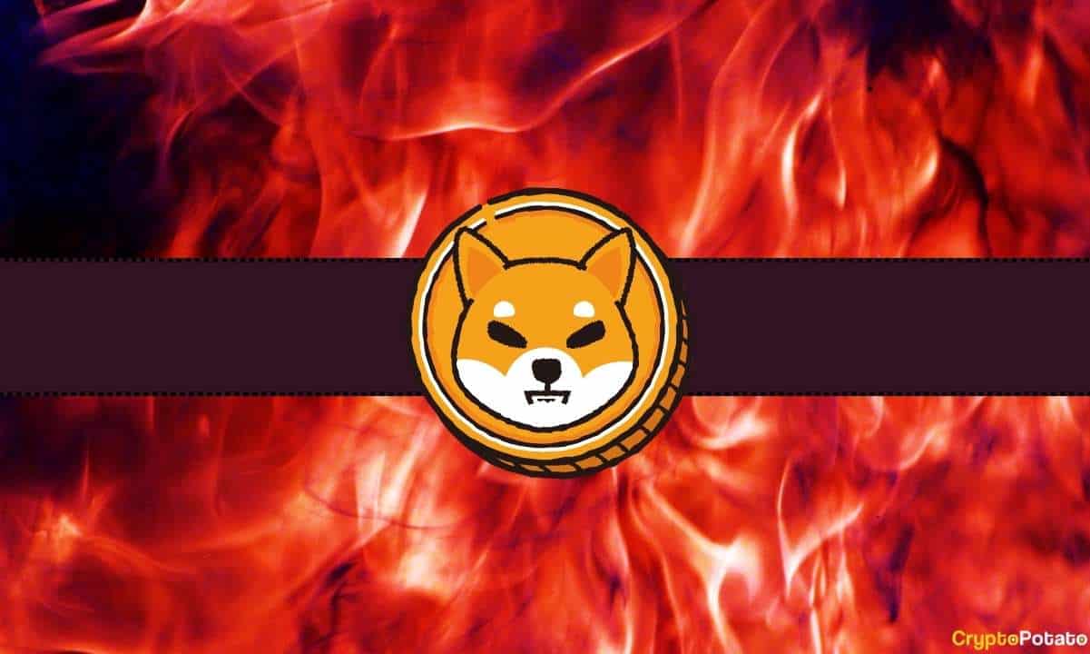 Bu Shiba Inu (SHIB) Metriğinde %7000 Muazzam Bir Atlama: Boğa Piyasası Geliyor mu?