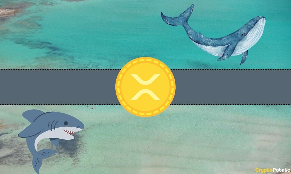 Ripple (XRP) Önemli Bir Ölçüde Tüm Zamanların En Yüksek Seviyesine Ulaştı