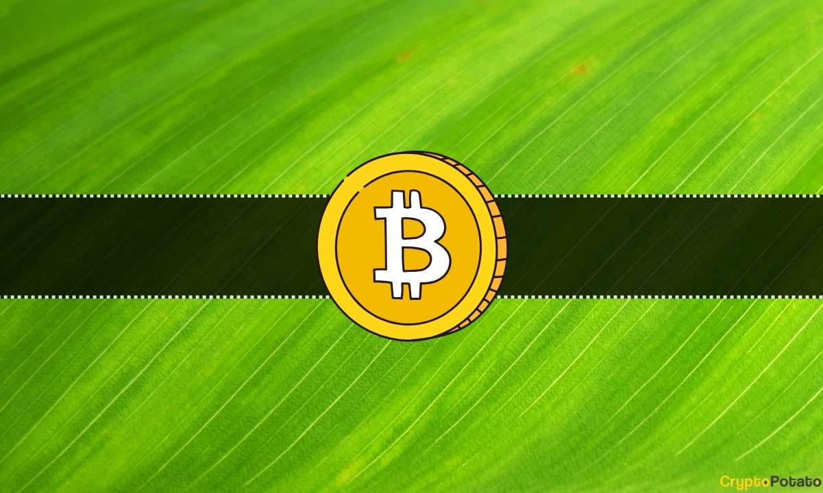 Bitcoin (BTC) Fiyat Yükselişi Kasım ayında Devam Edecek mi?