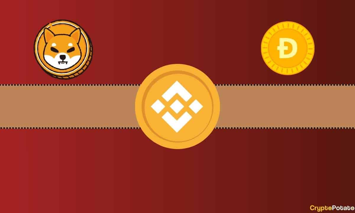 Binance 23 Ticaret Çiftini Listeden Çıkaracak, Shiba Inu ve Dogecoin Etkilenecek