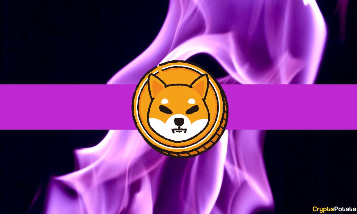 Shiba Inu Yanma Oranı %1.300 Patladı, SHIB'in Fiyatı Açısından Ne İfade Ediyor?