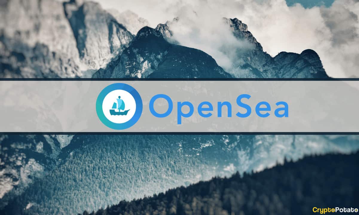 OpenSea, Çapraz Zincir Desteğiyle Polygon'da Pro Sürümünü Başlattı