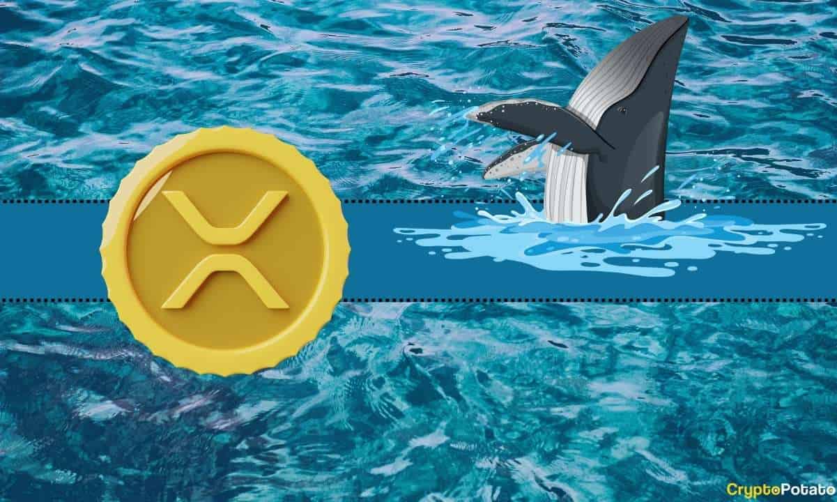Önemli Ripple (XRP) Metriği 2023'te En Yüksek Seviyesine Ulaştı: Ayrıntılar