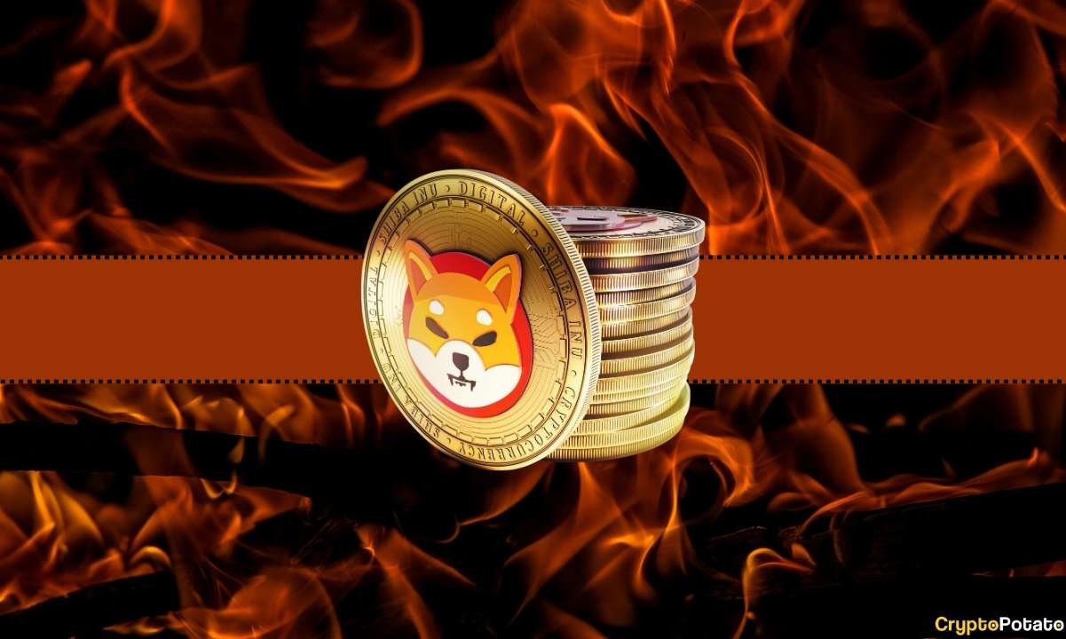 Bu Shiba Inu Metriği Neredeyse %20.000 Patladı, SHIB Rallisi Geliyor mu?