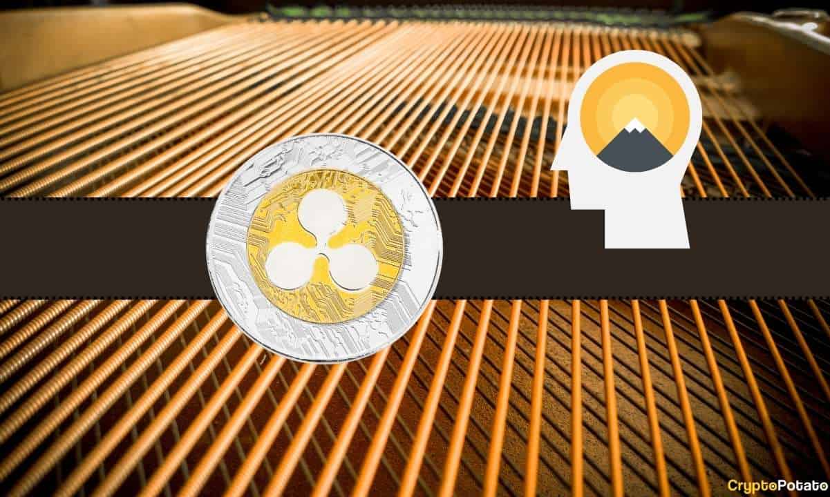 Bu Borsadaki Yatırımcılar Ripple (XRP) Konusunda Son Derece Yükselişe İnanıyor: Bir Şey Biliyorlar mı?