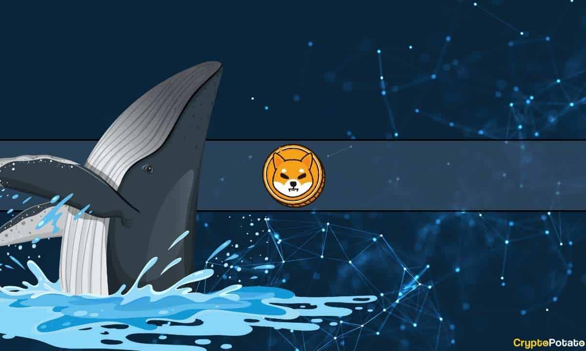 Devasa Shiba Inu (SHIB) İşlemi: Balina Trilyonları Taşıdı