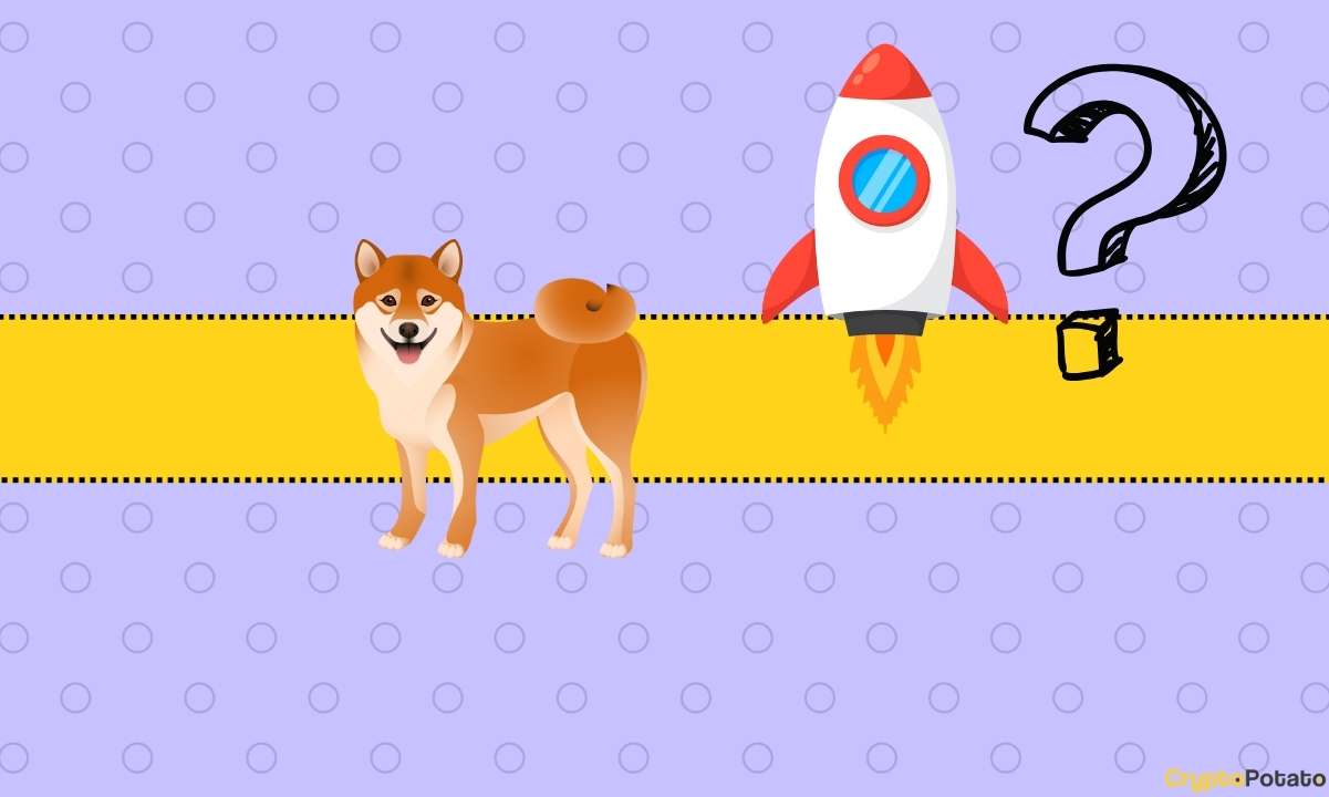 Bu Boğa Shiba Inu Metriği %3.000'i Vuruyor, SHIB Fiyat Yükselişini Tetikleyebilir mi?