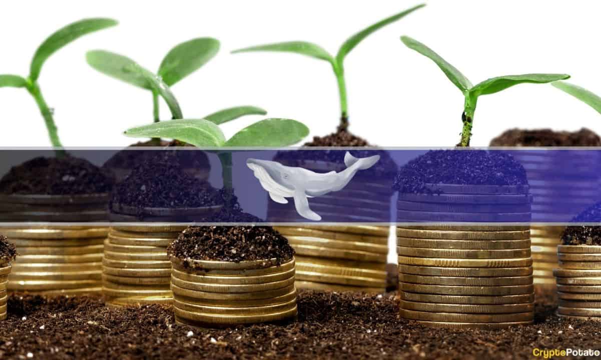 Bir Bitcoin (BTC) Balinası Bir Yıldan Kısa Bir Süre İçinde Nasıl Gerçekleşmemiş 126 Milyon Dolar Kazandı: Ayrıntılar