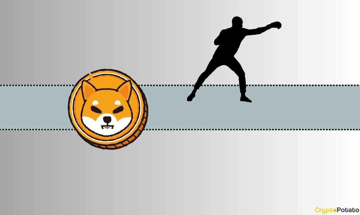Shiba Inu (SHIB) İçin Büyük ve Meraklı Ortaklık Geliyor: Ünlü Sporcu Kim Olacak?