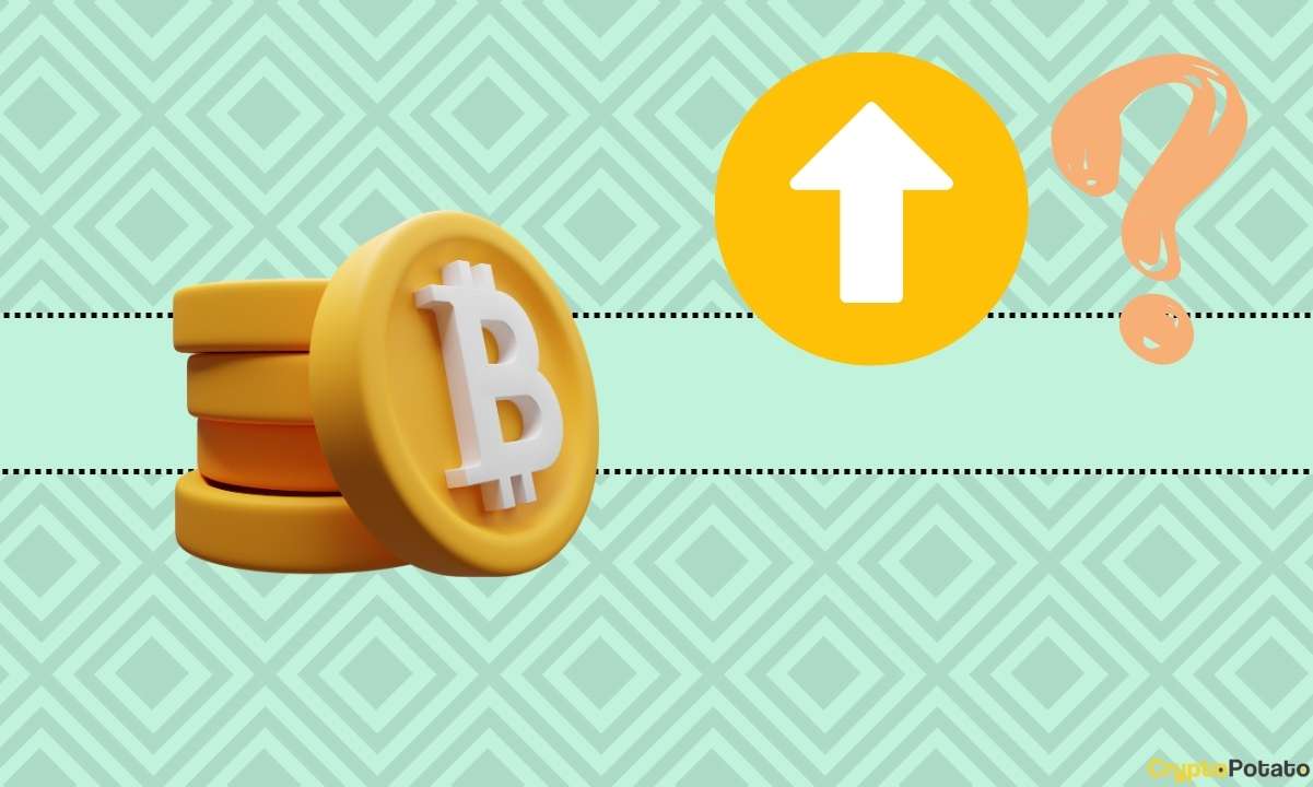 Bitcoin (BTC) Fiyatı 2023'ü 40 Bin Doların Üstünde Bitirecek mi: Bu Popüler Analist Cipsleri