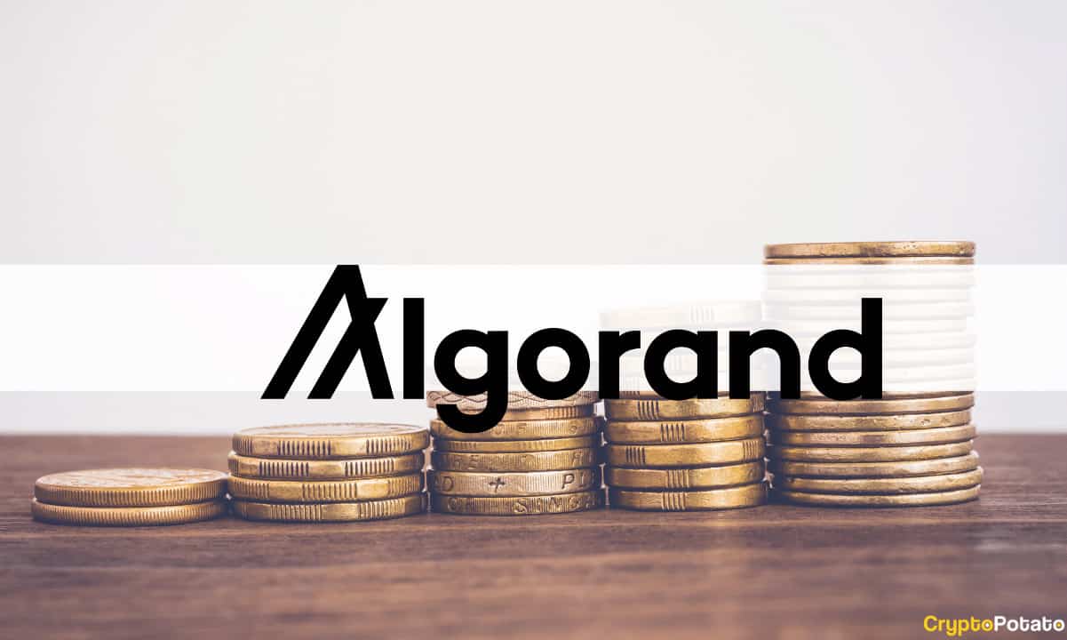 Quantoz Payments, Algorand Blockchain'de EURD Verme Lisansını Güvenceye Aldı