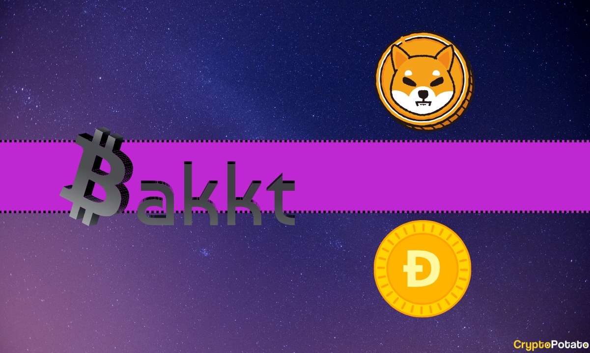 Shiba Inu (SHIB) ve Dogecoin (DOGE) Yükseliyor mu? Bu Baş Sorumlu, Yükseliyor