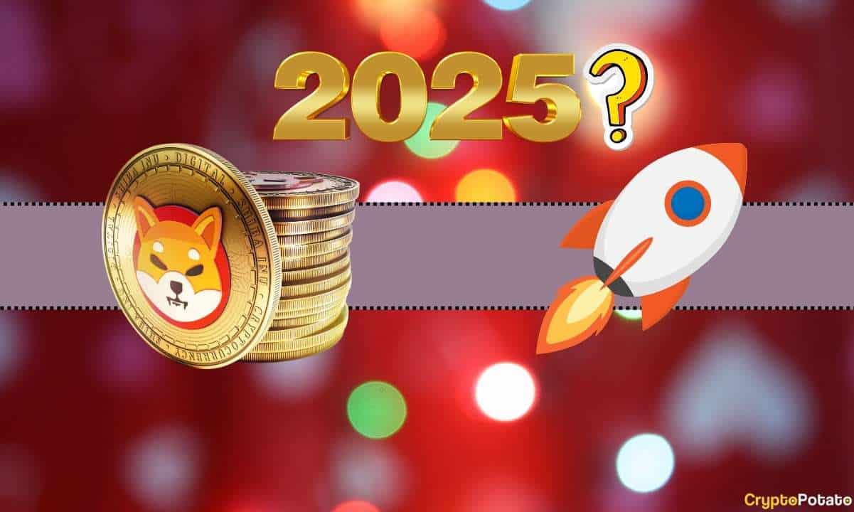 Şimdi Shiba Inu (SHIB) Satın Alma Zamanı mı? Analiz