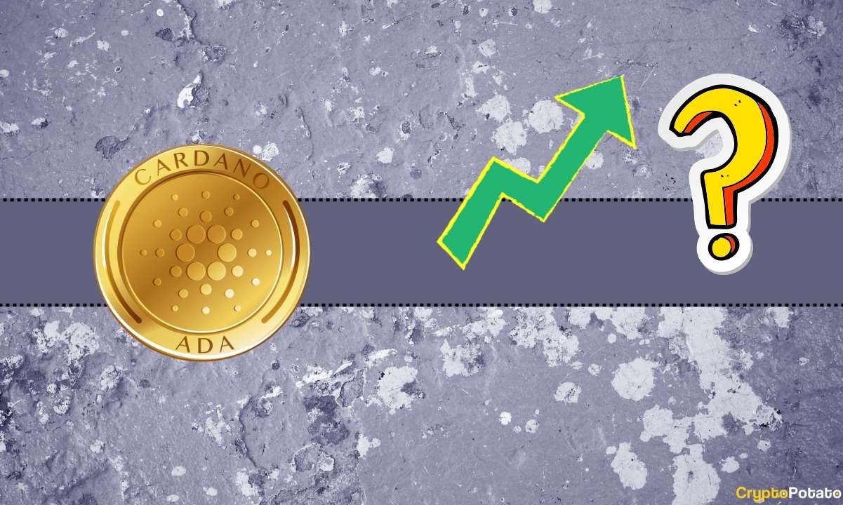 Cardano (ADA) Fiyatı Yıl Sonuna Kadar %100 Artmak Üzere mi? Bu Popüler Analist Fişleri