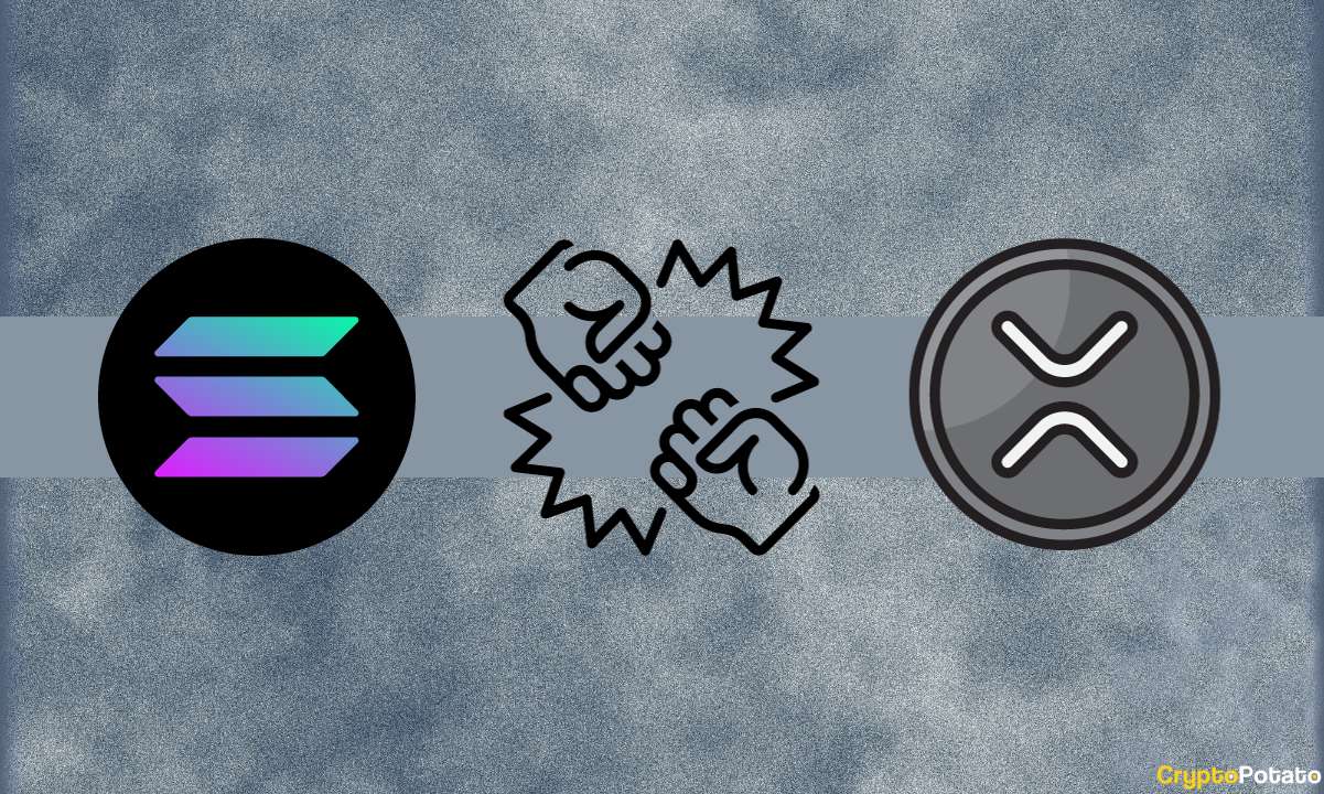 ChatGPT'ye Solana'nın (SOL) Bu Yıl Ripple'ı (XRP) Döndürüp Döndürmeyeceğini Sorduk