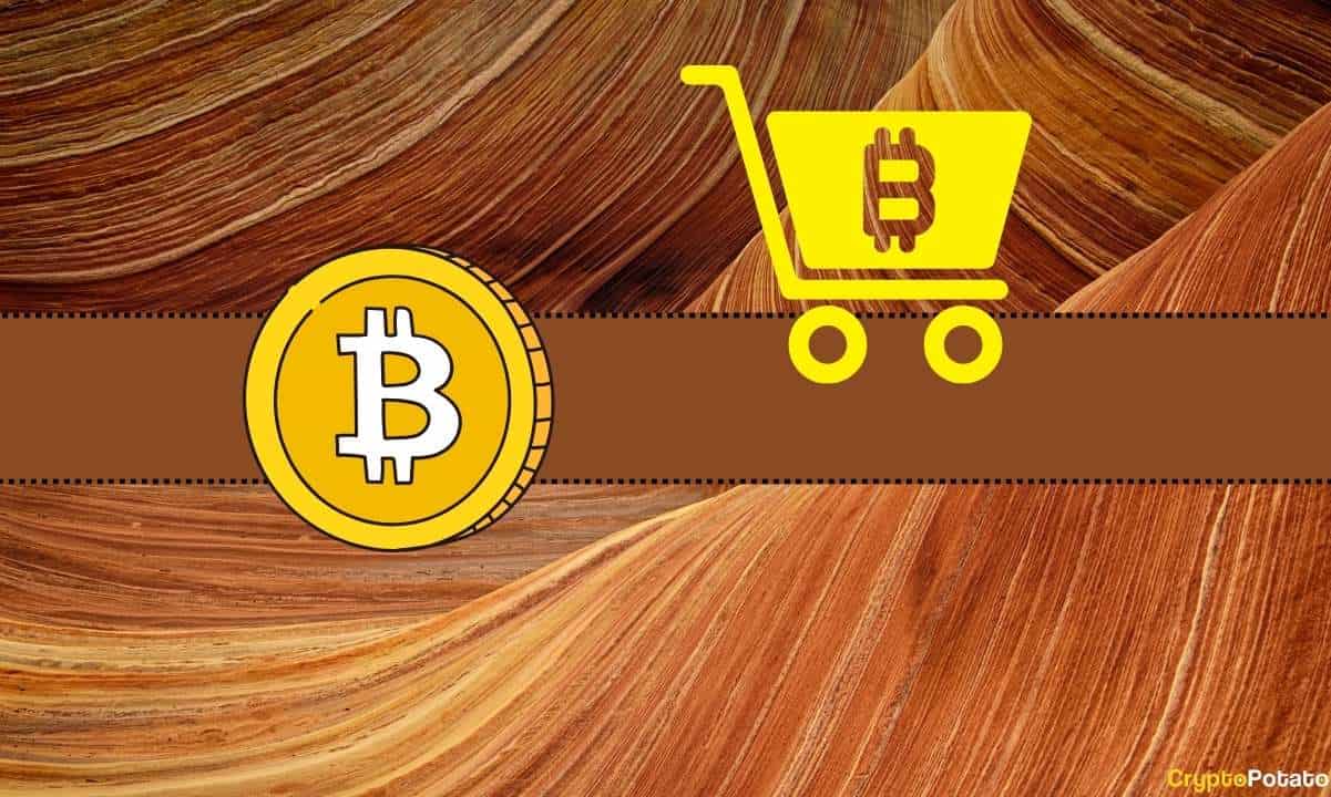 Bitcoin (BTC) Şükran Günü'nde Düşecek mi? Analist Potansiyel Düşüşün Satın Alınmasına Değer Veriyor