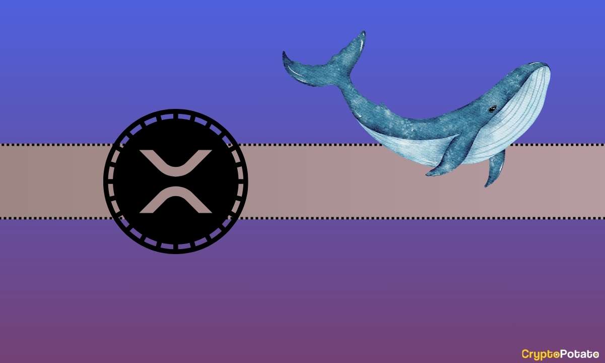Ripple Balinaları Devasa Transferlerle Piyasada Heyecanı Tetikliyor: Faaliyetin Ortasında XRP Fiyatı Düşüyor