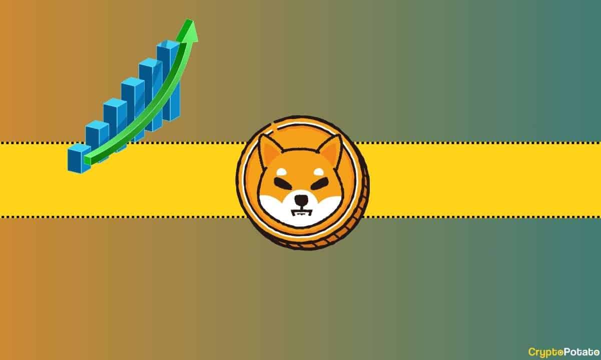 Önemli Shibarium Metriği %130 Arttı: SHIB Fiyatı Açısından Ne İfade Ediyor?