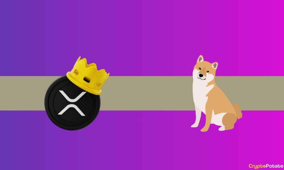 Bu Popüler Kripto Borsasından Ripple (XRP) ve Shiba Inu (SHIB) Duyuruları