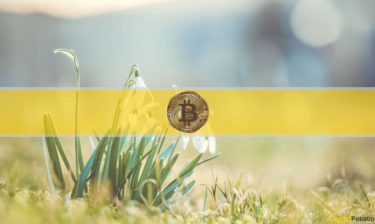 Bitcoin (BTC) Arzının %80'inden Fazlası Kâra Döndü: Glassnode
