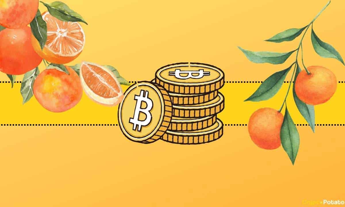 Beklenmedik Meyve Piyasalarıyla Çok Meraklı Bitcoin Fiyat Korelasyonu