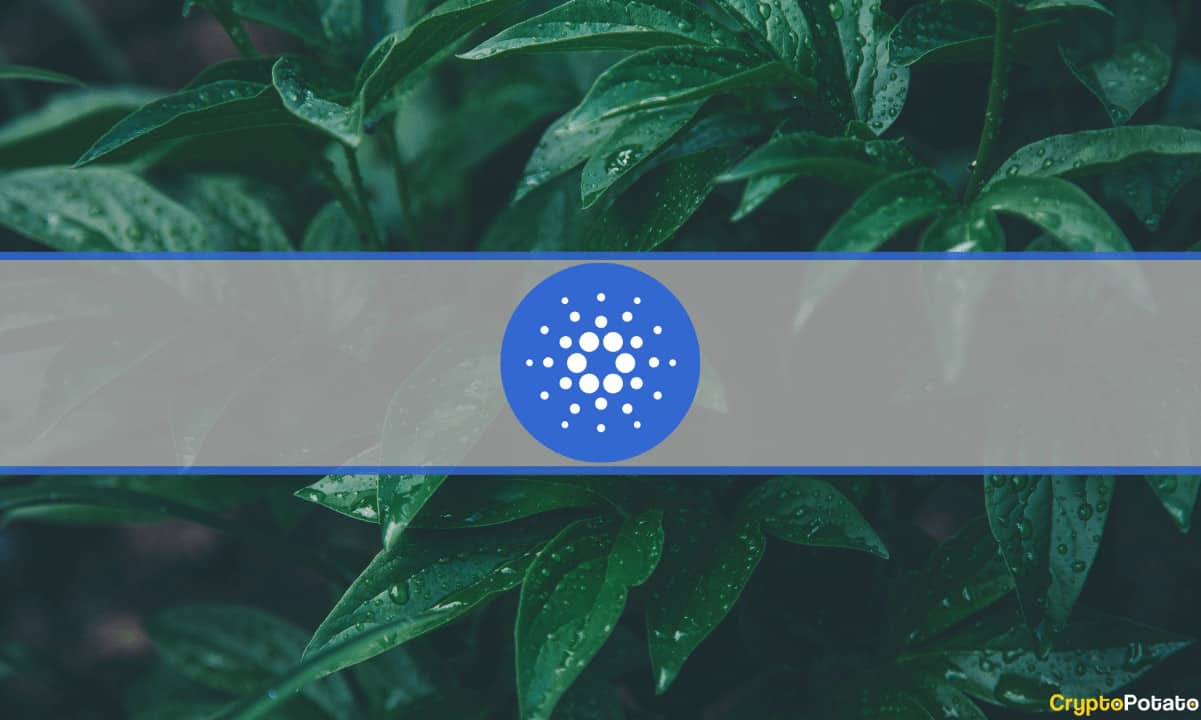 Cardano Minimal Dirençle Karşı Karşıya, ADA Aralık'ta Fiyatını İkiye Katlayabilir mi? (Analiz)