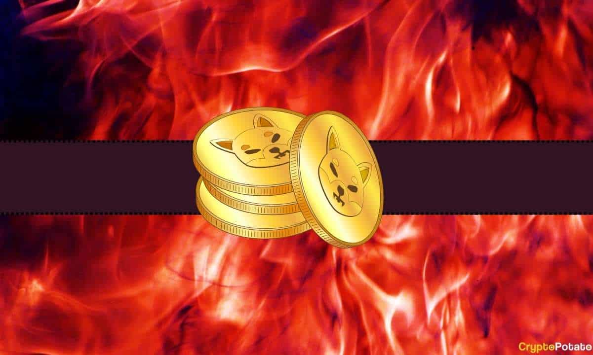 Shiba Inu (SHIB) Yakma Oranı %20.000 Arttı: Fiyat Açısından Ne İfade Ediyor?