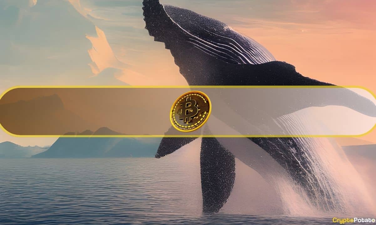 Uyuyan Bitcoin Balinası 4 Yıl Sonra 137 Milyon Dolar BTC Aktardı