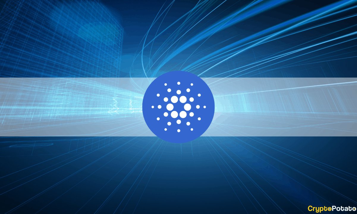 Cardano (ADA) Sahiplerinin Sadece %35'i Kâr Ediyor: Veriler