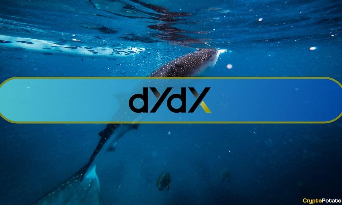 Balinalar dYdX'in 150 Milyon Token Kilidini Açmayı Nasıl Yönetti?