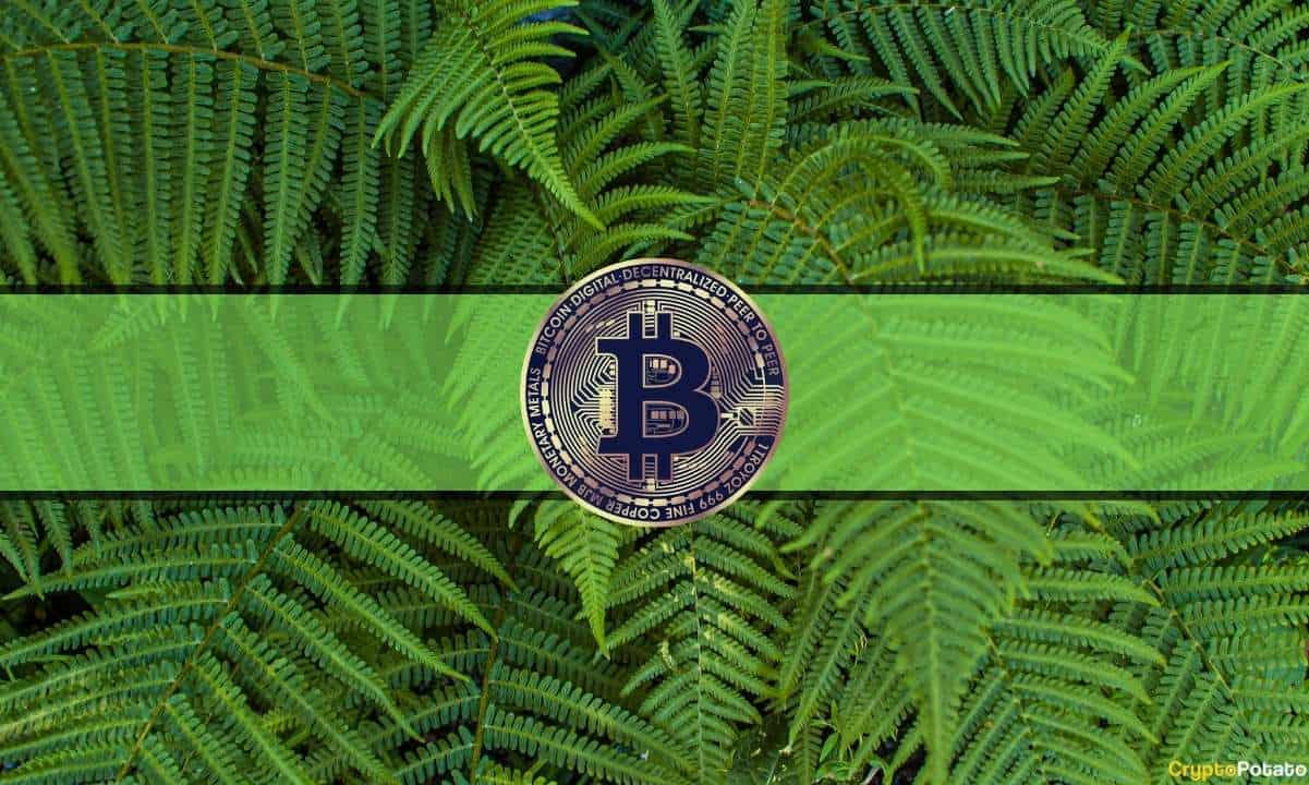 Kripto Analistleri Bitcoin'in 19 Aylık Zirvesinin Neredeyse 42 Bin Dolara Tepki Verdi