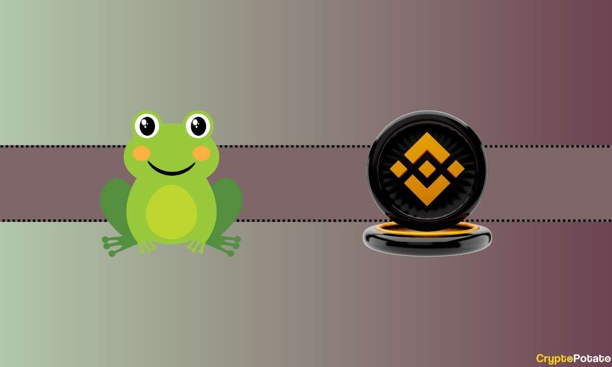 PEPE'nin Bugünkü %20 Artışının Nedeni Önemli Binance Güncellemesi