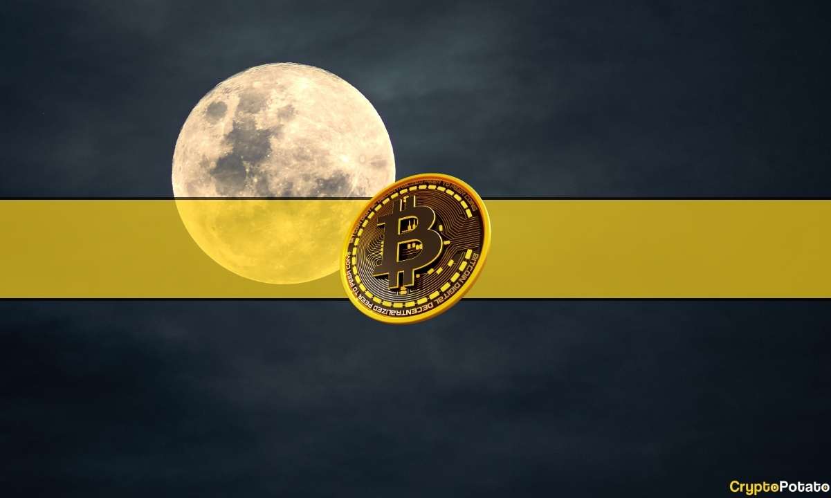 Bitcoin, Kısa Pozisyonların Tasfiye Edilmesiyle 150 Milyon Dolara Yakın Kalarak 41 Bin Doları Aştı