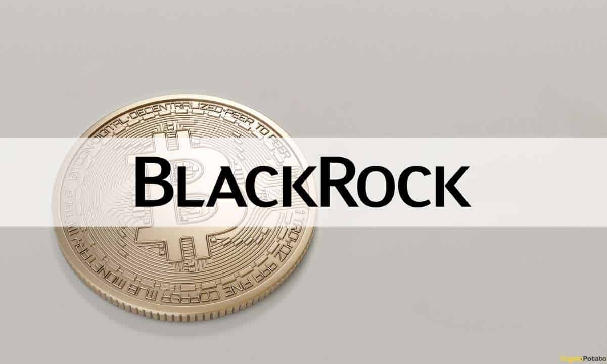 BlackRock'un Son SEC Başvurusu, Bitcoin ETF'ye 100.000 Dolarlık Başlangıç ​​Fonu Ortaya Çıkardı