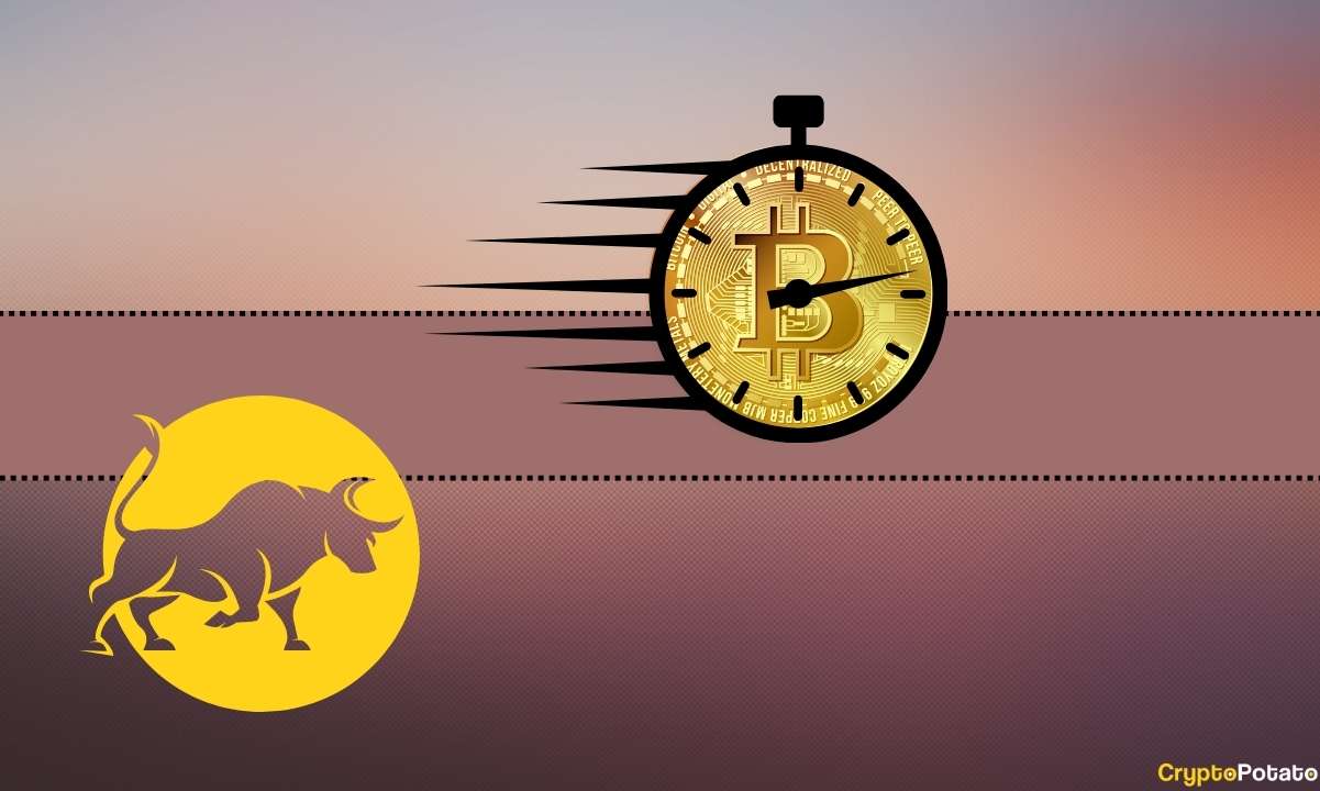 BTC 43 Bin Doların Üzerine Çıkarken İlginç Bitcoin Fiyat Tahmini: Bloomberg Analistleri