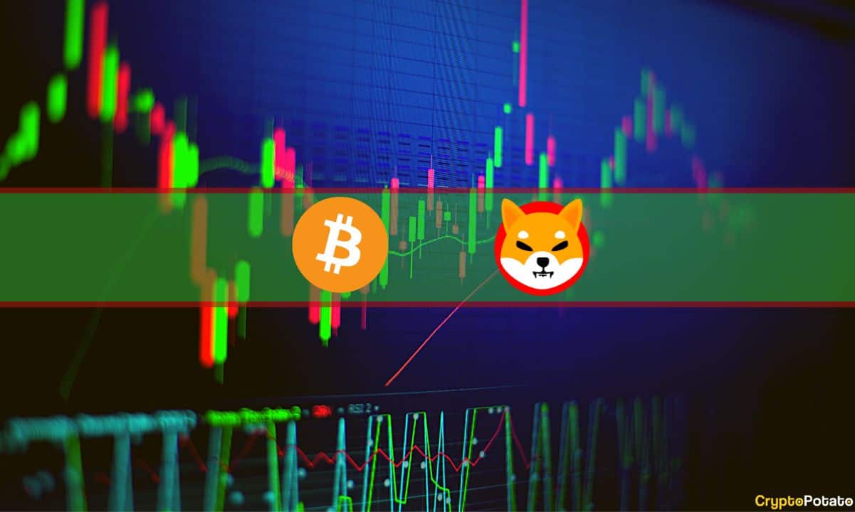 AVAX, DOGE ve SHIB Çift Hanelerde Patlarken BTC Fiyatı 44 Bin Dolara Çıktı (Piyasa İzleme)
